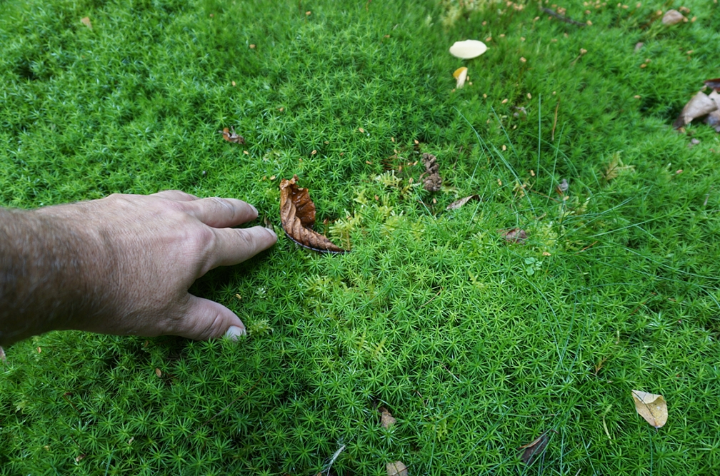 Freiraum - Gestaltung