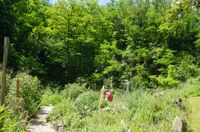 mehr Land für Natur und Mensch - Modell 'Nahe der natur' Staudernheim