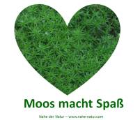 Moos macht Spaß - Die Moosliebe des Naturschutzmuseums 'Nahe der Natur' Staudernheim.