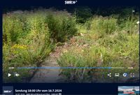 Filmnotiz Schmetterlingsgarten Staudernheim 2024, SWR RP