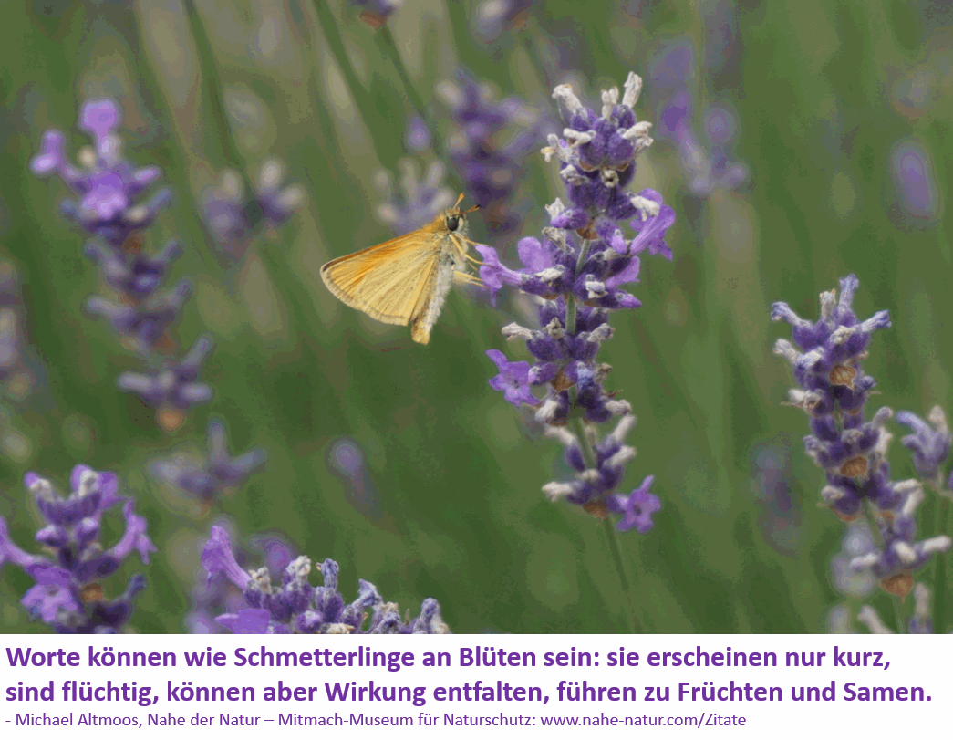 Zitate Nahe der Natur, von Michael Altmoos & Ursula Altmoos, Naturschutz-Museum. Zitate Nahe der Natur, von Michael Altmoos & Ursula Altmoos, Naturschutz-Museum.